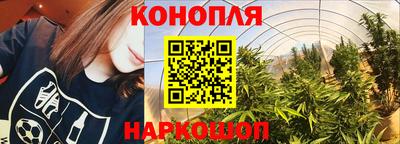 шишки Пушкино
