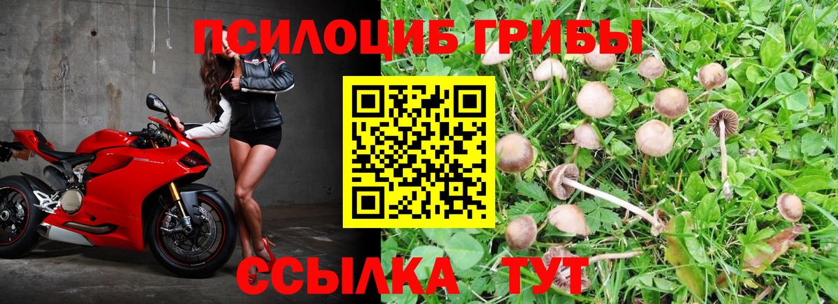Псилоцибиновые грибы ЛСД Маркс