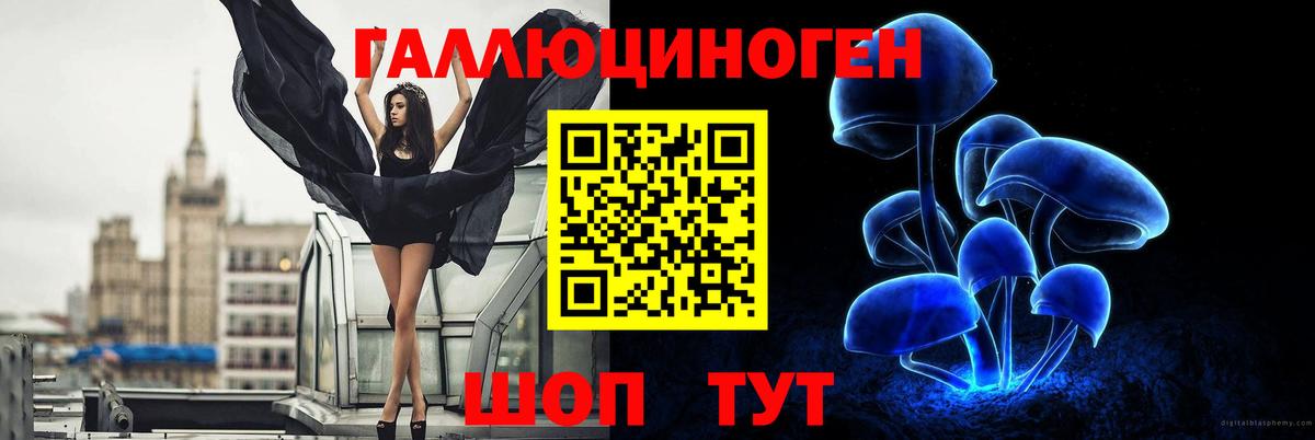 Псилоцибиновые грибы GOLDEN TEACHER  Вход с VPN  Псилоцибиновые грибы MAGIC MUSHROOMS  Маркс 